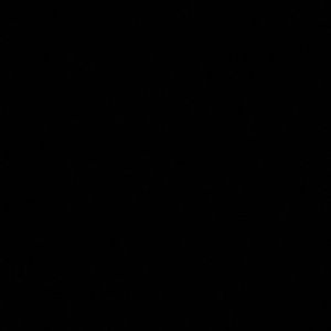 Meet your Posher, Jem